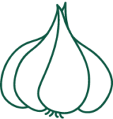 garlic